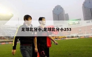 足球比分小,足球比分小253