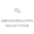 国足12强赛首战时间确定 9月1日14点客战澳大利亚-第1张图片-足球直播_足球免费在线高清直播_足球视频在线观看无插件_24直播网